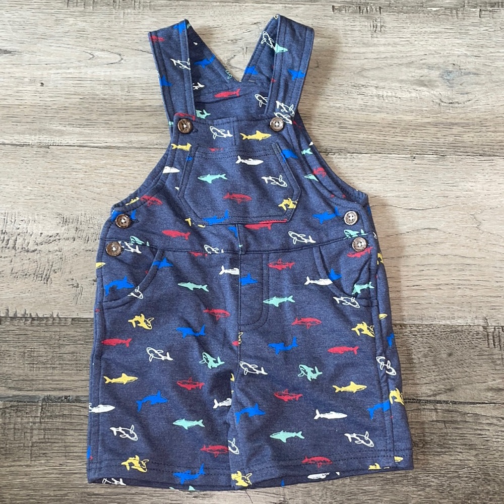 NWOT Overall 24 months